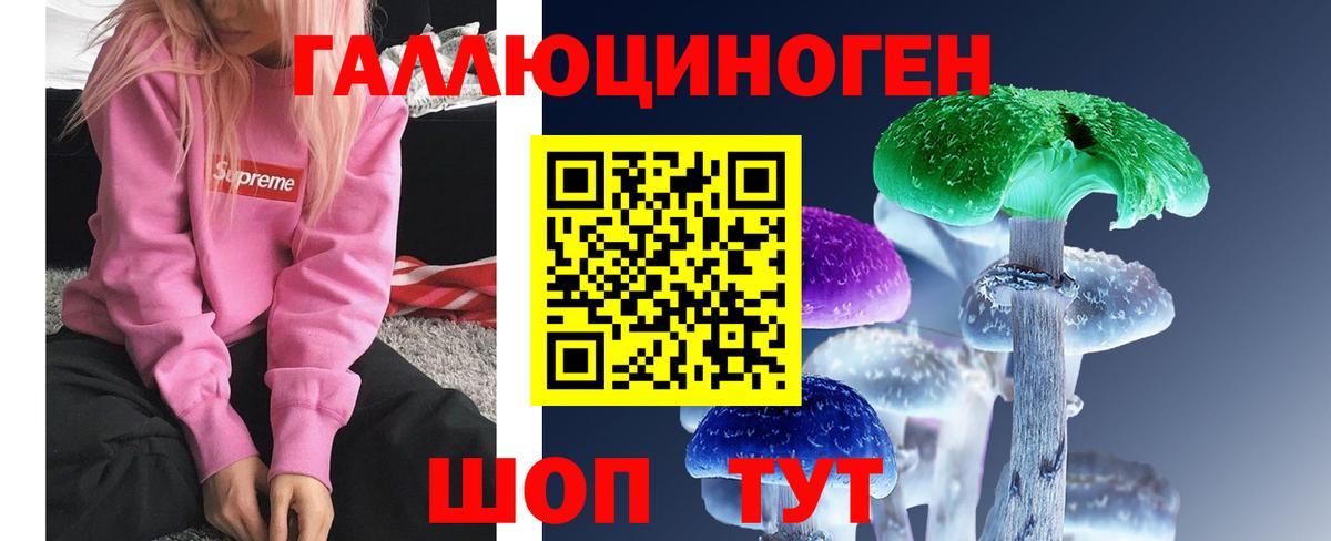 Псилоцибиновые грибы Cubensis Ухта